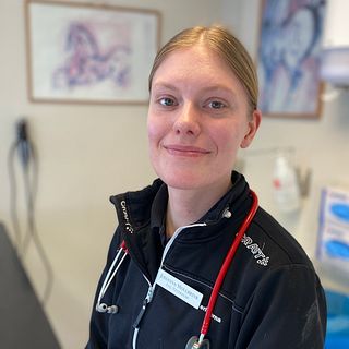 Så påverkas din häst av fästingbett