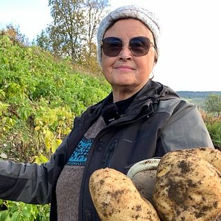 Annika odlar potatis i berömda backen i Ammarnäs – håller liv i 200 år gammal tradition