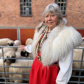 Utställning för Walliska svartnosfår vid Åkerbo gård – första i Sverige
