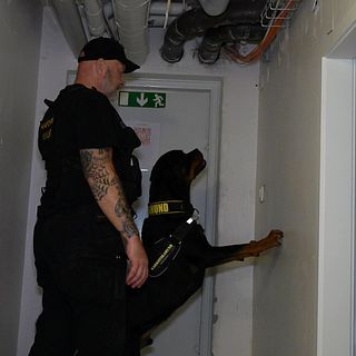 Följ med när Tuffe söker efter droger under träning