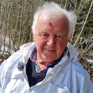 Därför dog ovanligt många bin i norra Sverige
