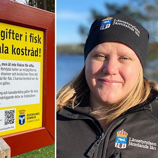Länsstyrelsens nya jakt på PFAS