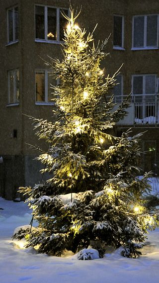 Vilka platser brukar få en vit jul?