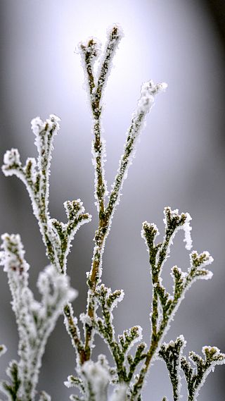 Vad räknas som vinter?