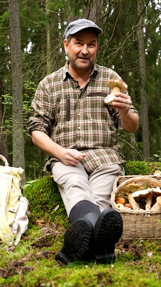 Kan man dö av svamp som finns i svensk skog?