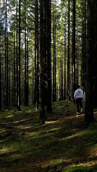 Varför får man inte vistas i det avstängda området?