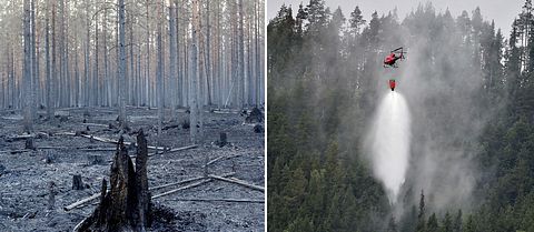 Två bilder, en från skogen kring Ängra, och en bild på en helikopter som hämtar vatten i sjön Grötingen.