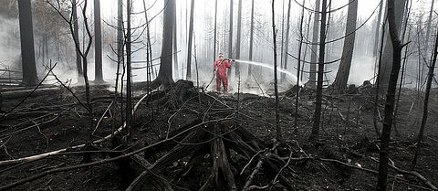 Släckningsarbetet fortsätter i det brandhärjade området. 200 personer kämpade på marken med att hålla elden i schack.