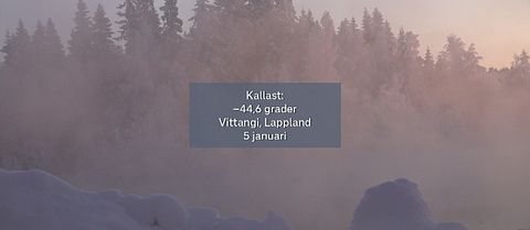 SVT:s meteorolog Per Stenborg sammanfattar det svenska januarivädret 2024 på en och en halv minut.