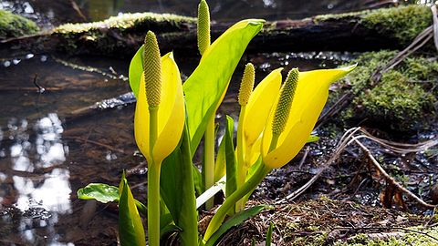 Kirish joyida rus uy qurilishi porno video