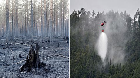 Två bilder, en från skogen kring Ängra, och en bild på en helikopter som hämtar vatten i sjön Grötingen.