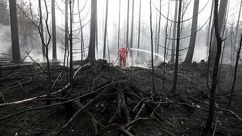 Släckningsarbetet fortsätter i det brandhärjade området. 200 personer kämpade på marken med att hålla elden i schack.