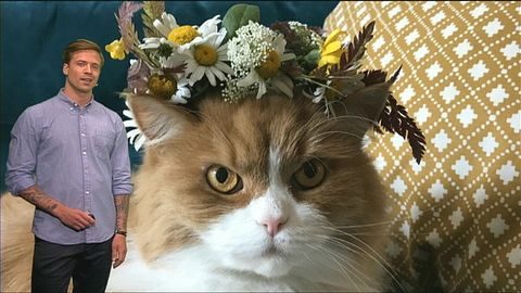 e-22725310-1561039773000