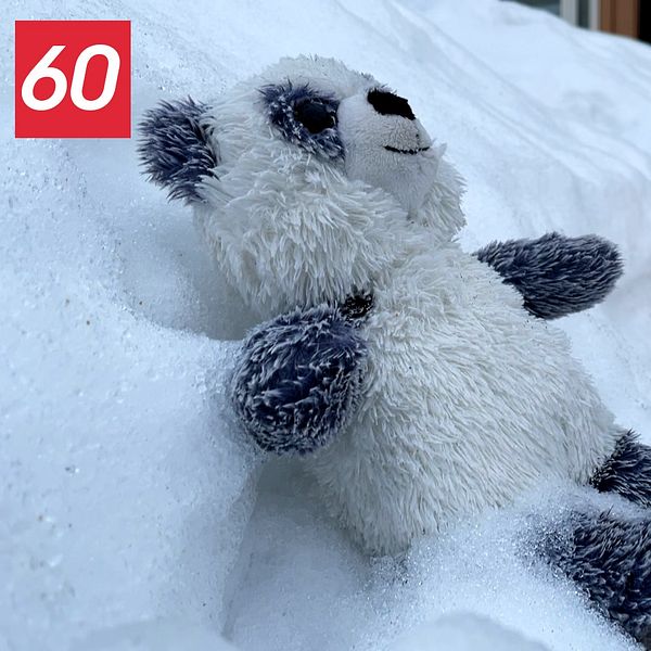 Bild på gosedjursnalle och ljus i snö efter nyheten om att 8-årige Tintin i Luleå blivit mördad.