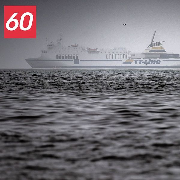 Fartyget Marco Polo som gått på grund i Pukaviksbukten och en bild på en svan som simmat i olja.