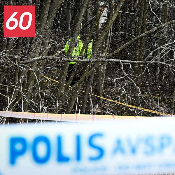 Bild på sökinsats i skog