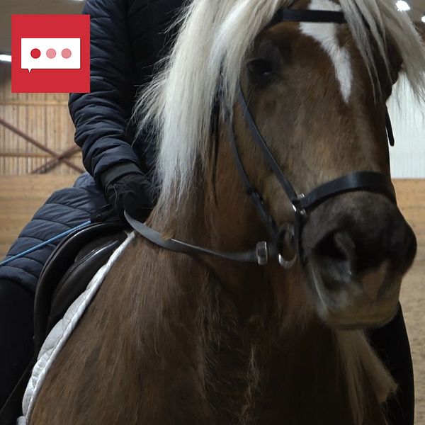 Någon rider på en häst och ett porträtt av Anna Reilly från Svenska Ridsportförbundet