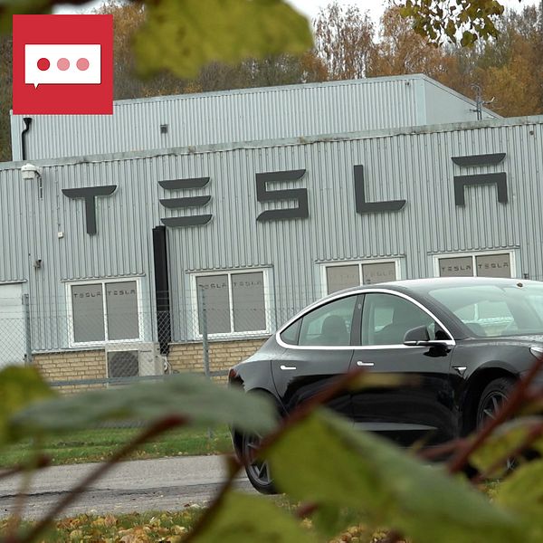 Tesla till vänster och Peter Rawet till höger