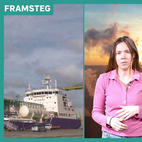 Omslagsbild till Framsteg om koldioxid.