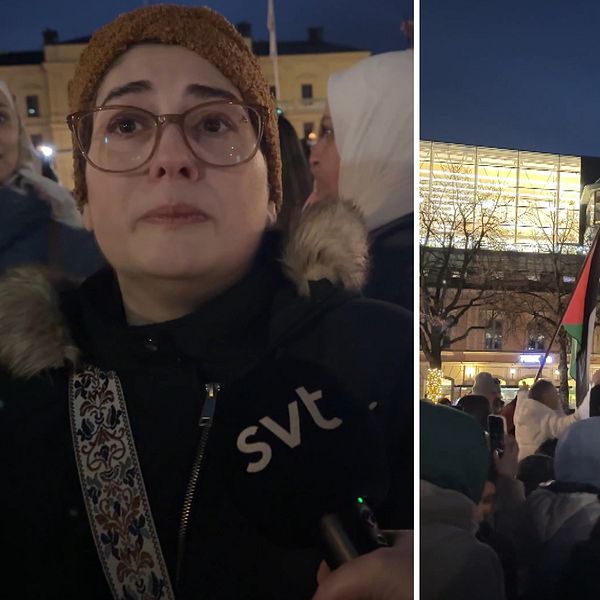 En delad bild som visar två scener från en demonstration. Till vänster en person i fokus med en mörk jacka och en axelrem vänd mot kameran. Till höger en folkmassa som höjer olika flaggor, inklusive den syriska flaggan och en annan med en stjärna. Bakgrunden visar en stadsmiljö i skymningen, med ljus från byggnader och träd.