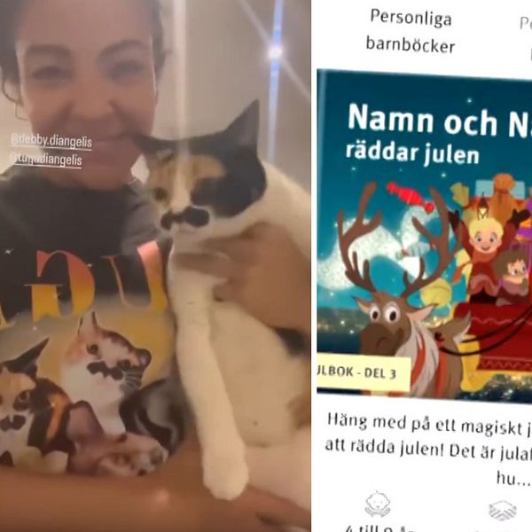 En delad bild med tre sektioner: till vänster syns en person som håller en katt, i mitten en illustration av en barnbok och i högra sektionen hålls en färganalys.