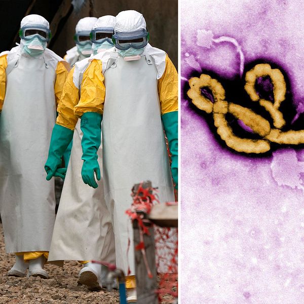 Vårdpersonal i skyddsdräkter bekämpar ebola, med virusbild och vaccinering