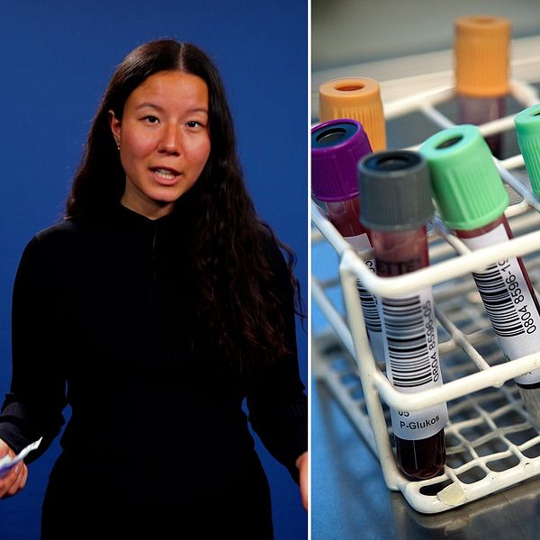 Tredelad bild. Vänster: person med mörk tröja. Mitten: provrör i ställ. Höger: person i labbrock.