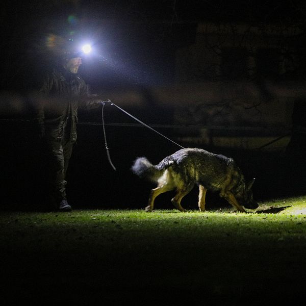 Polis som går med polishund i mörker och avspärrningsskylt