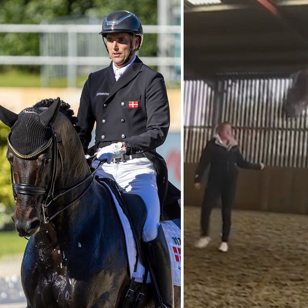 Andreas Helgstrand, Charlotte Dujardin, Patrik Kittel