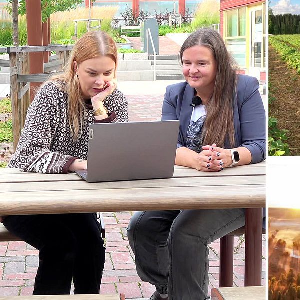 Anna Wallbrandt, reporter på SVT, testar forskaren Magdalena Pfaffls databas som matchar människor med byar. De sitter vid en bort med en dator.
