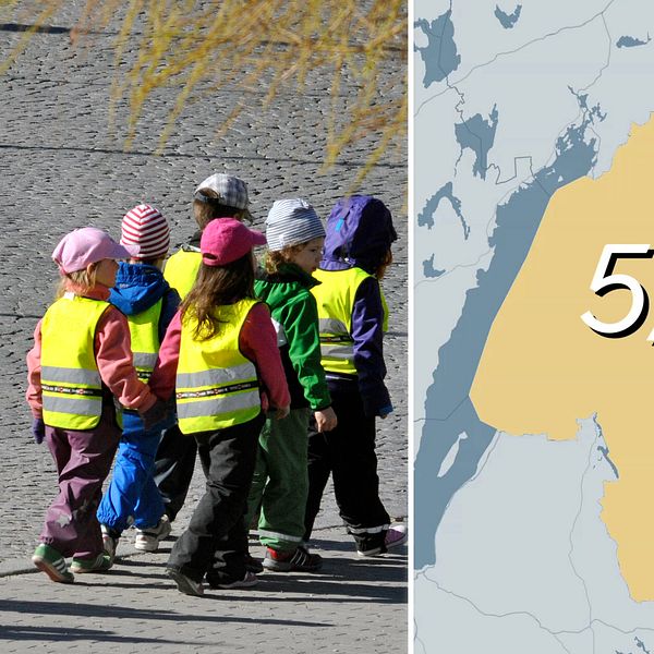 sterg-tland-kritiseras-f-r-brister-i-1177-tj-nsterna-svt-nyheter