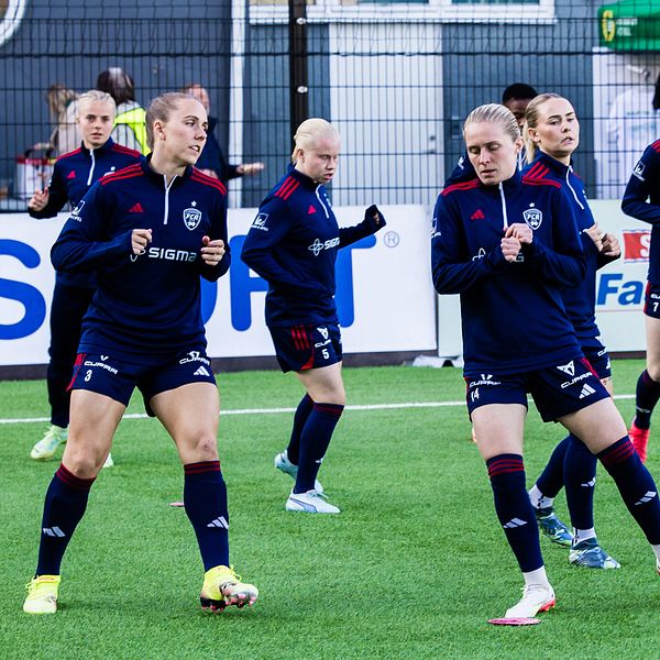 Rosengård och expert Hanna Marklund.