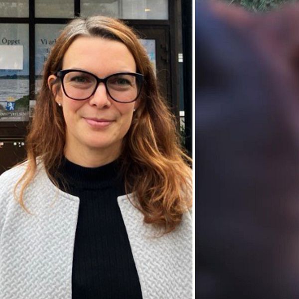 Kvinna framför länsstyrelsen i Halland och en hund.