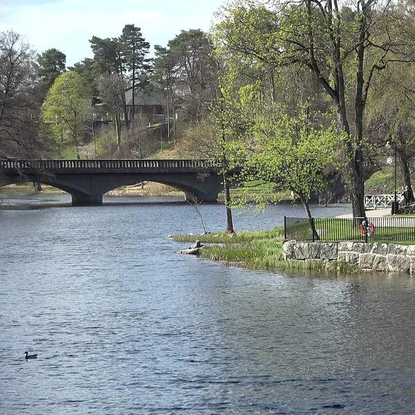 Svartån i Mjölby.