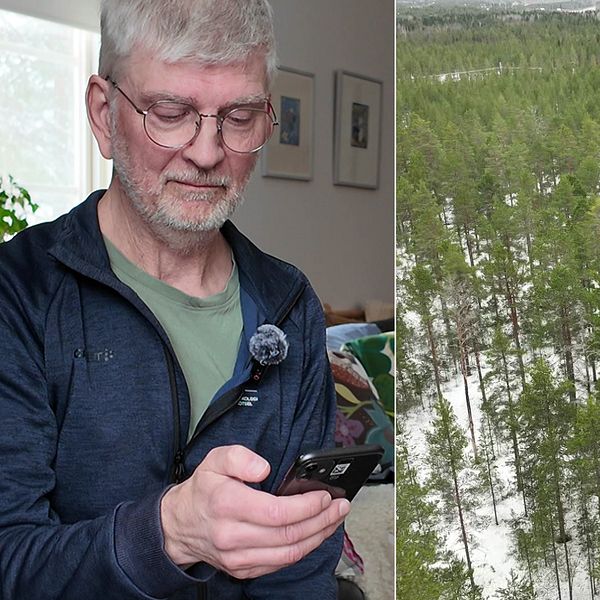 Kullaskogen i Umeå