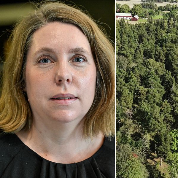 Åklagare Moa Blomqvist och Hjälstaviken