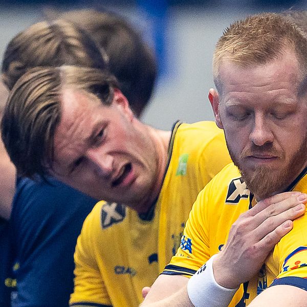 Svenska herrlandslaget.