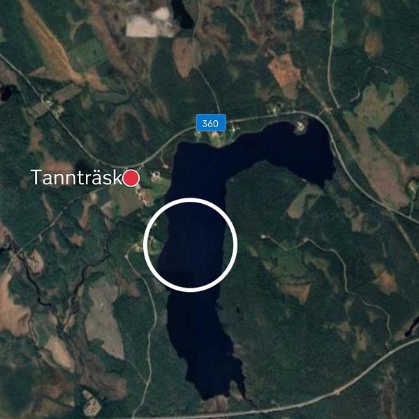 Karta med orten Tannträsk, med den ungefärliga olycksplatsen i en vit cirkel. Till höger syns centrala Lycksele.