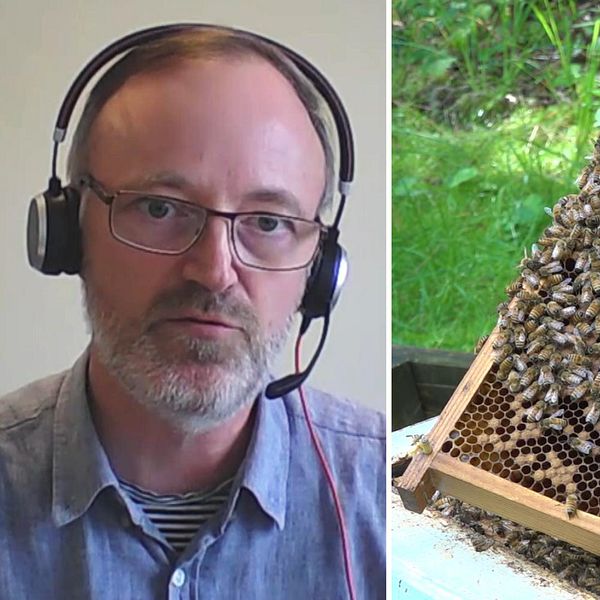 Thorsten Pedersen, enhetschef på Jordbruksverket.