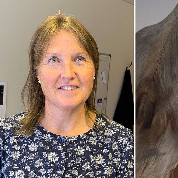 Delad bild. Till vänster Elise Ryder Wikén, och till höger en vimpel med Härjedalens vapen på.