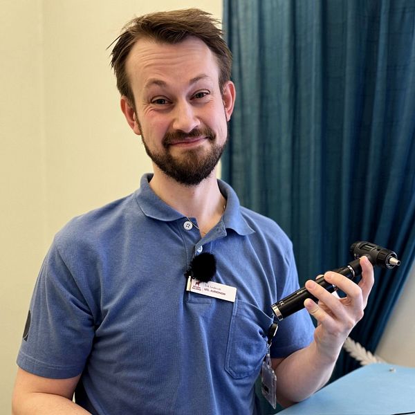 Tvådelad bild. Till vänster: person med medicinskt instrument. Till höger: vuxen labrador hos veterinären.