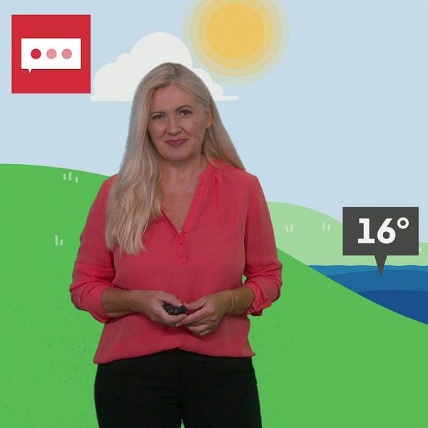 SVT:s meteorolog deana Bajic framför en grafik som förklarar uppvällning