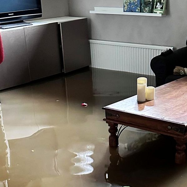 Johanna Mohlin i Vallda fick sin källare översvämmad. Nu kräver hon pengar av kommunen.