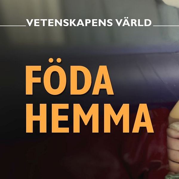 Vetenskapens värld Föda hemma