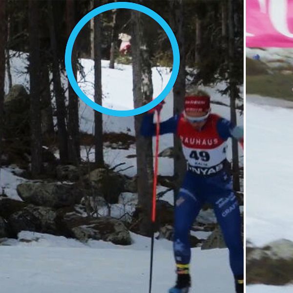 Tvådelad bild. Vänster: Skidåkare i skog med en person i bakgrunden. Höger: Skidåkare i tävlingsdräkt.