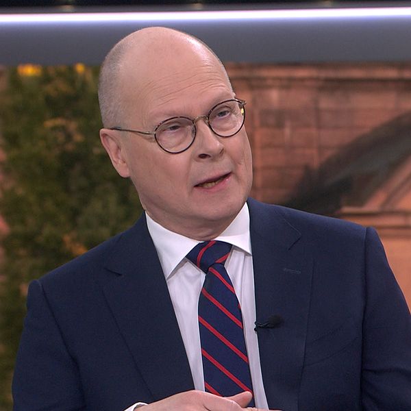 Mats Knutson, riksdagen
