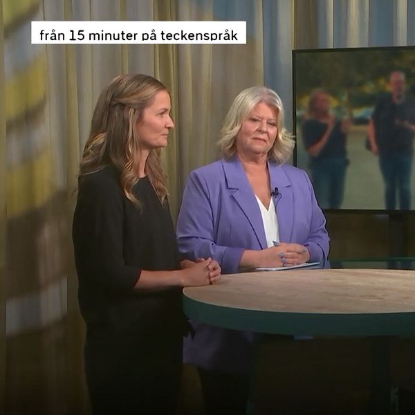 Teckenspråkstolk, socialtjänstminister och programledare