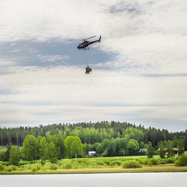 Helikopter myggbekämpar nedre Dalälven
