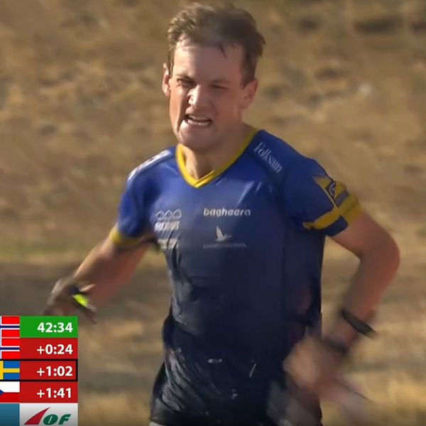 Albin Ridefelt