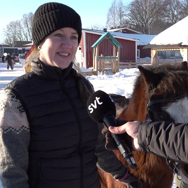 Kvinna brevid häst och en gris på 4H-gården i Karlstad.